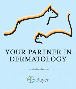 International Animal Health